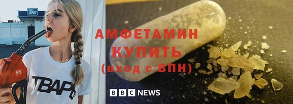 соль ск Каменка