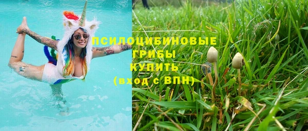 соль ск Каменка