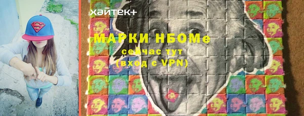 соль ск Каменка