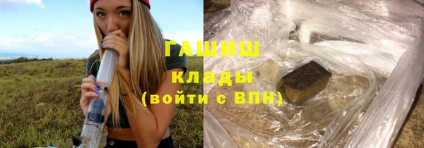 соль ск Каменка