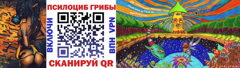 Псилоцибиновые грибы MAGIC MUSHROOMS  Купить закладки  Шимановск 